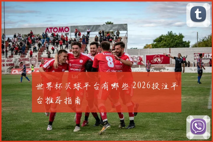世界杯买球平台有哪些 2026投注平台推荐指南
