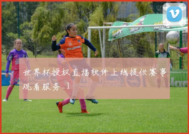 世界杯授权直播软件上线提供赛事观看服务_1