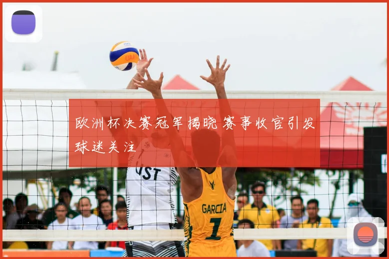 欧洲杯决赛冠军揭晓 赛事收官引发球迷关注