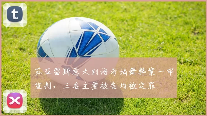 苏亚雷斯意大利语考试舞弊案一审宣判，三名主要被告均被定罪