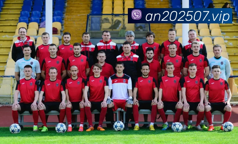 Kaiyun (中国官方网站) - 官方认证的服务平台APP 高清赛事图